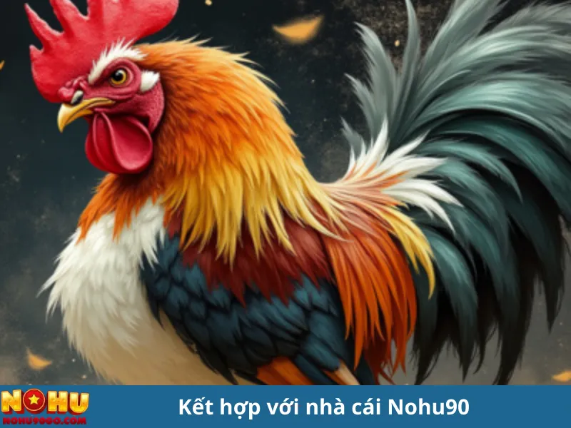 Cách Nuôi Gà Chọi Chuẩn Xác Từ Cao Thủ – Cẩm Nang Mới Nhất